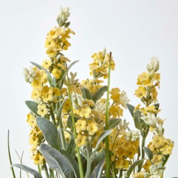 Homescapes Artificial Yellow Lavender Plant in Metallic Ceramic Pot, 66 cm Tall - Yellow - thumbnail 5