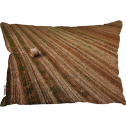 Aerial View Of Hay Bale Fields Cushion - Brown - thumbnail 2