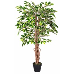 Homescapes Variegated Green Artificial Ficus Tree with Real Wood Trunk, 4 Ft - Green - thumbnail 5