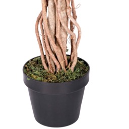 Homescapes Variegated Green Artificial Ficus Tree with Real Wood Trunk, 4 Ft - Green - thumbnail 4