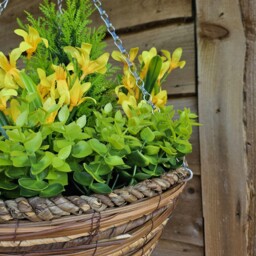 Best Artificial Large 14 inch Mini Daffodil Flower Hanging Outdoor Garden Basket - Yellow Daffodil - thumbnail 2