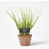 Homescapes Artificial Chive Plant in Decorative Pot - Terracotta - thumbnail 1