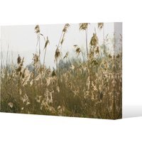 plumes Slimbridge Canvas Print - Yellow / 91cm / 61cm