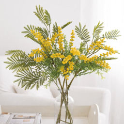 Apothecary Jar Flower Vase  H20 x 10cm Diameter - Clear - thumbnail 2