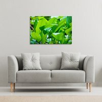 Green leaf background abstract of nature Canvas Print - Green / 41cm / 61cm - image 1