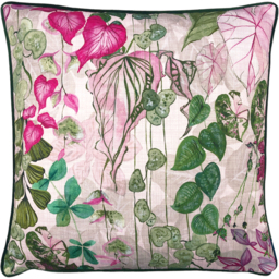 Veadeiros Botanical Cushion - Blush / 50cm / 80 Polyester 20 Feather - thumbnail 2