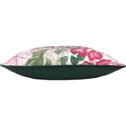 Veadeiros Botanical Cushion - Blush / 50cm / 80 Polyester 20 Feather - thumbnail 5