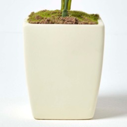 Homescapes Small Cream Artificial Hydrangea Flower in Cream Pot, 38 cm Tall - Natural - thumbnail 5