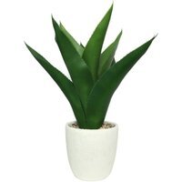 White Botanica Potted Agave Ceramic - White
