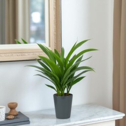 Ceramic Glossy Grey Indoor Plant, Cache Pot - 12cm - thumbnail 2