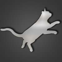 Cat Style 9 Silver Acrylic Mirror - Silver / Large