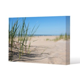 Grass in the sand dunes with the lake in the background Canvas Print - Blue / 41cm / 31cm - thumbnail 2