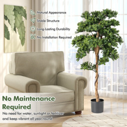 Set of 2 Artificial Boxwood Topiary Tree - Green - thumbnail 2