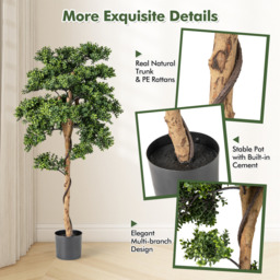 Set of 2 Artificial Boxwood Topiary Tree - Green - thumbnail 5