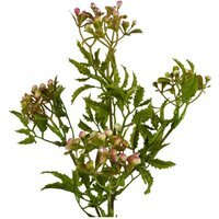 Artificial Berry Foliage Stem 55cm - Pink