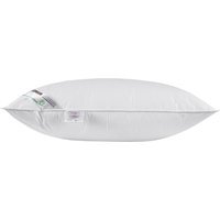 Homescapes Aloe Vera Pillow Super Microfibre Extra Fill, 48 x 74cm - White