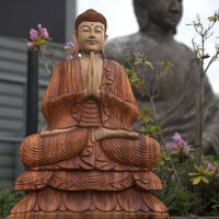 Hand Carved Suar Wood Buddha Statue, Unique Natural Art - Orange