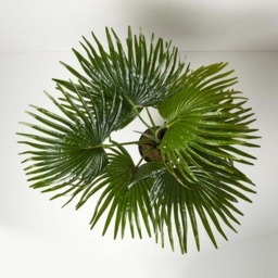 Homescapes Artificial Fan Palm Tree in Pot, 80 cm Tall - Green - thumbnail 3
