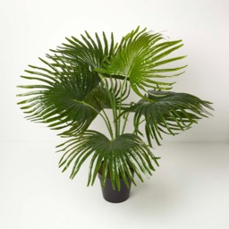 Homescapes Artificial Fan Palm Tree in Pot, 80 cm Tall - Green - thumbnail 2