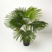 Homescapes Artificial Fan Palm Tree in Pot, 80 cm Tall - Green - thumbnail 1