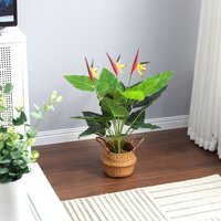 75cm Artificial Potted Bird of Paradise Palm Tree - Green - image 1
