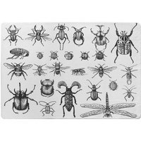 Fleas Many Species In Vintage Old Hand Drawn Style Designer Rug - White / 150cm - thumbnail 1