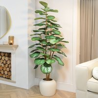 Fiddle Tree - Green - image 1