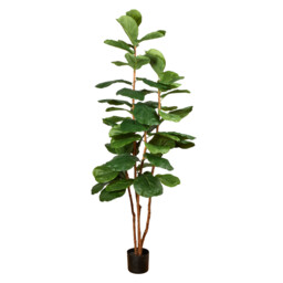 Fiddle Tree - Green - thumbnail 2