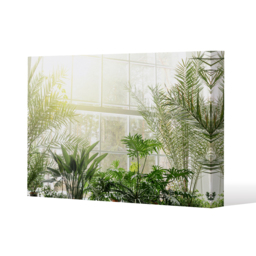 Green plants in botanical gardens Canvas Print - Green / 101cm / 127cm - thumbnail 2