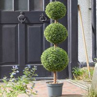 Trio Topiary Tree - Green,Black - thumbnail 1