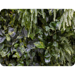 Urban Jungle, Modern Interior Decoration Blanket - Green - thumbnail 2