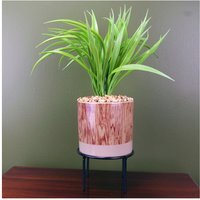 35cm Artificial Grass Plant with Ceramic Planter and Metal Stand - Green