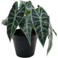 Artificial Caladium Potted House Plant H23cm - Green - thumbnail 1