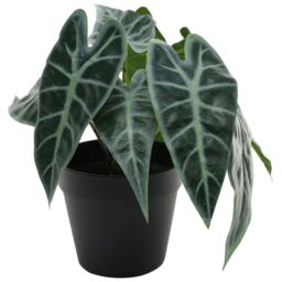 Artificial Caladium Potted House Plant H23cm - Green - thumbnail 2