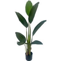 UV Resistant Traveller Banana Palm Tree - UV Traveller Banana Palm / 50cm