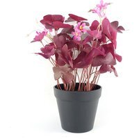 Leaf Artificial Plant Realistic Purple Shamrock Pink Flowers Potted - Purple
