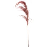 Fiori Tall Pink Pampas Grass Stem - Pink
