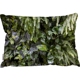 Urban Jungle, Modern Interior Decoration Cushion - Green - thumbnail 2