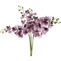 Pack Of 6 Purple Artificial Phalaenopsis Orchid Stems - Purple
