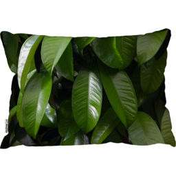 Closeup Of Beautiful Glossy Green Leaves Cushion - Green - thumbnail 2