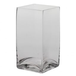 Clear Glass Tank Vase  - H20 x W10 cm / 20cm - thumbnail 2