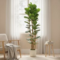 HOMCOM 180cm Artificial Fiddle Leaf Fig Tree - Green - thumbnail 1