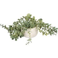 Trailing Eucalyptus in Wash Pot - Green - image 1