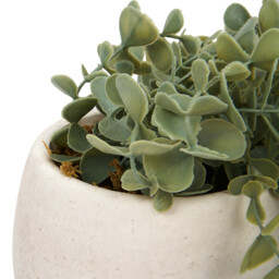 Trailing Eucalyptus in Wash Pot - Green - thumbnail 3