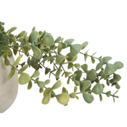 Trailing Eucalyptus in Wash Pot - Green - thumbnail 2