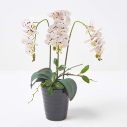 Homescapes Large 56cm Lifelike Artificial White Orchid in Black Ceramic Pot - White - thumbnail 2