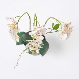 Homescapes Large 56cm Lifelike Artificial White Orchid in Black Ceramic Pot - White - thumbnail 3