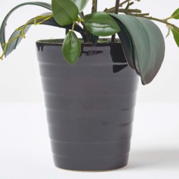 Homescapes Large 56cm Lifelike Artificial White Orchid in Black Ceramic Pot - White - thumbnail 4