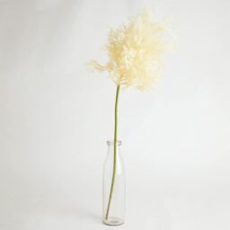Artificial Single Tall Ivory Flowering Smoke Bush Spray Stem L86cm - White - thumbnail 4