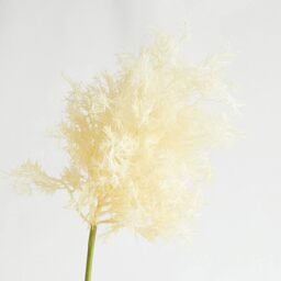 Artificial Single Tall Ivory Flowering Smoke Bush Spray Stem L86cm - White - thumbnail 3